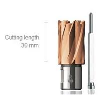 فرزانگشتی معمولی