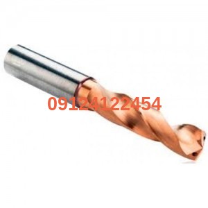 100613265 1 500x500 300x300 1