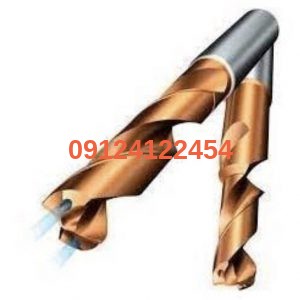 photo ۲۰۱۷ ۱۰ ۲۵ ۰۰ ۲۹ ۵۸ 300x300