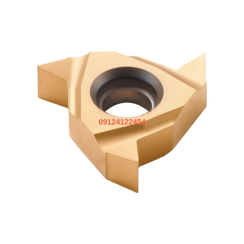 INSERT UN الماس گام زنی