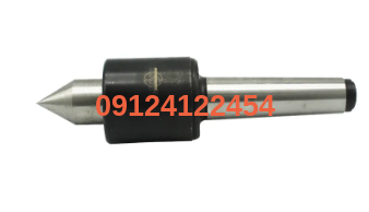 10 مرغک گردان