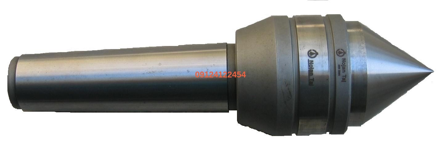 11 مرغک گردان